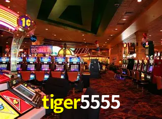 APP oficial da tiger5555 para mobile